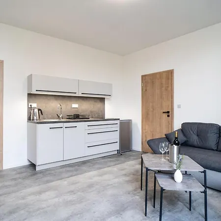 Venuse 招待所 俄斯特拉发