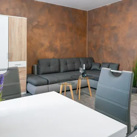 招待所 Venuse 俄斯特拉发